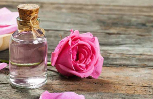 ROSA DAMASCENA